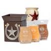 Scentsy Companion System ($10 savings)